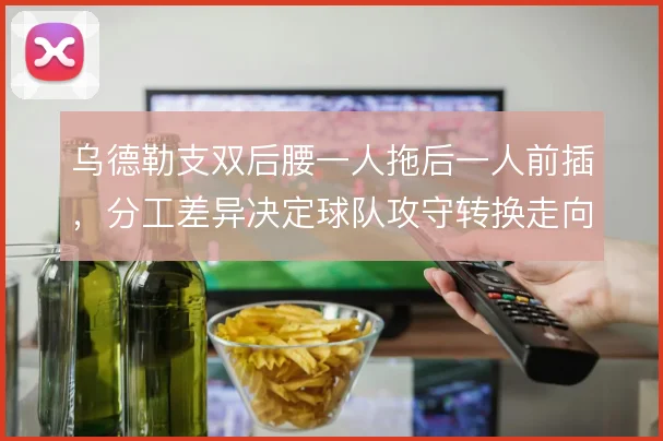 乌德勒支双后腰一人拖后一人前插，分工差异决定球队攻守转换走向